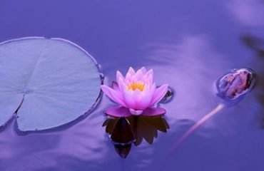Crystal Balls And Feng Shui-Metaphysical Wholesale in USA